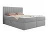 Continental lova 586788