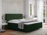Continental lova 493984 4015470