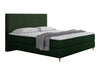 Continental lova 493984
