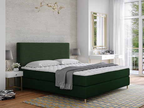 Continental lova 493984