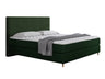 Continental lova 493984 4015477