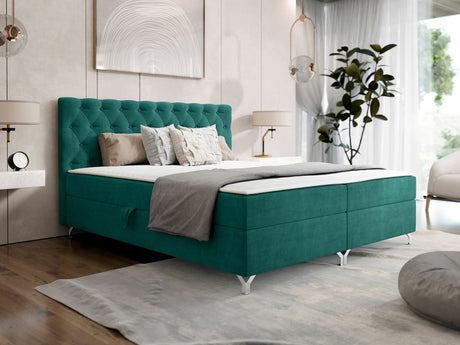 Continental lova 541039
