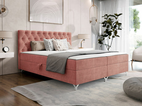 Continental lova 541039