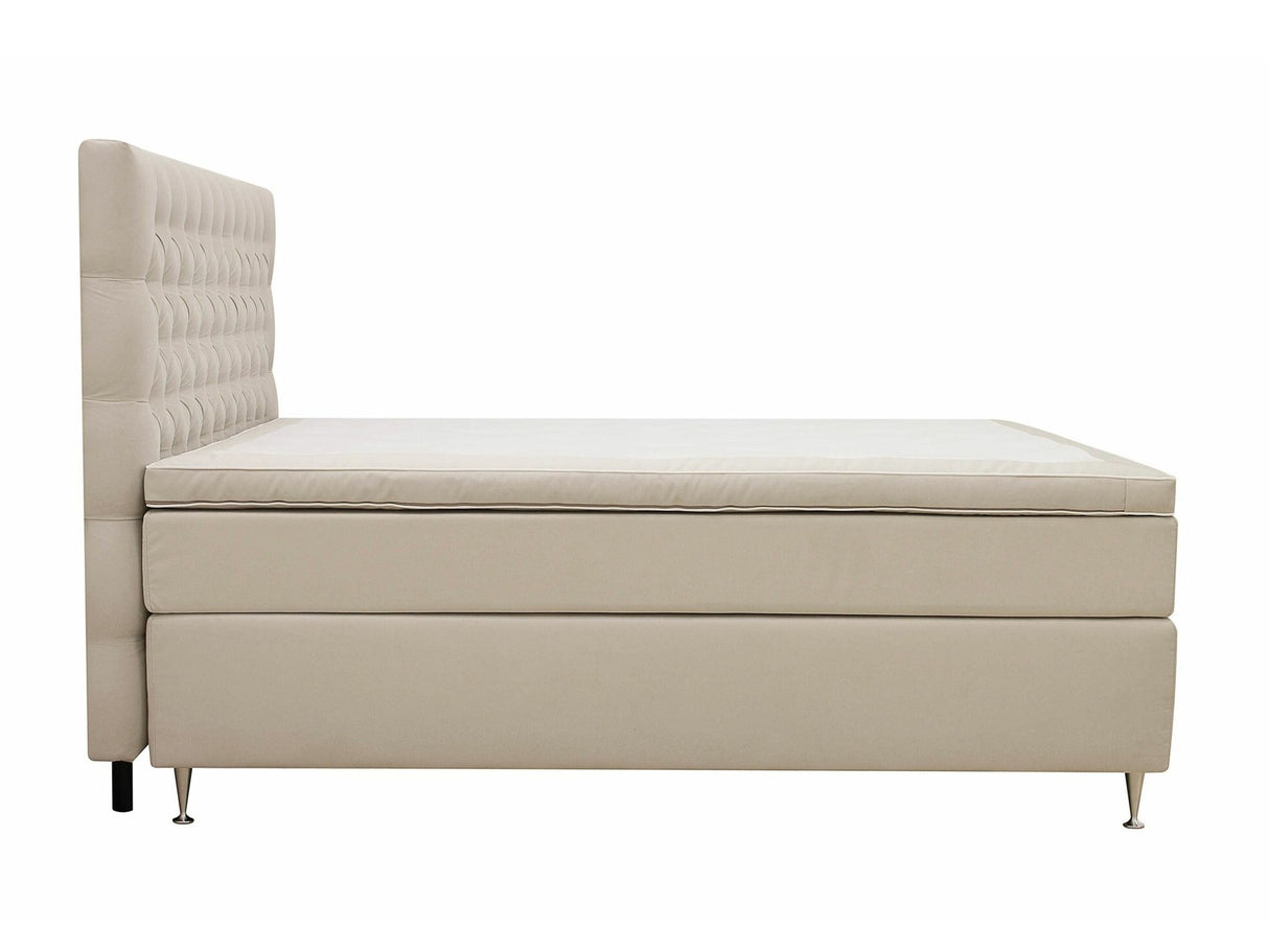 Continental lova 591590