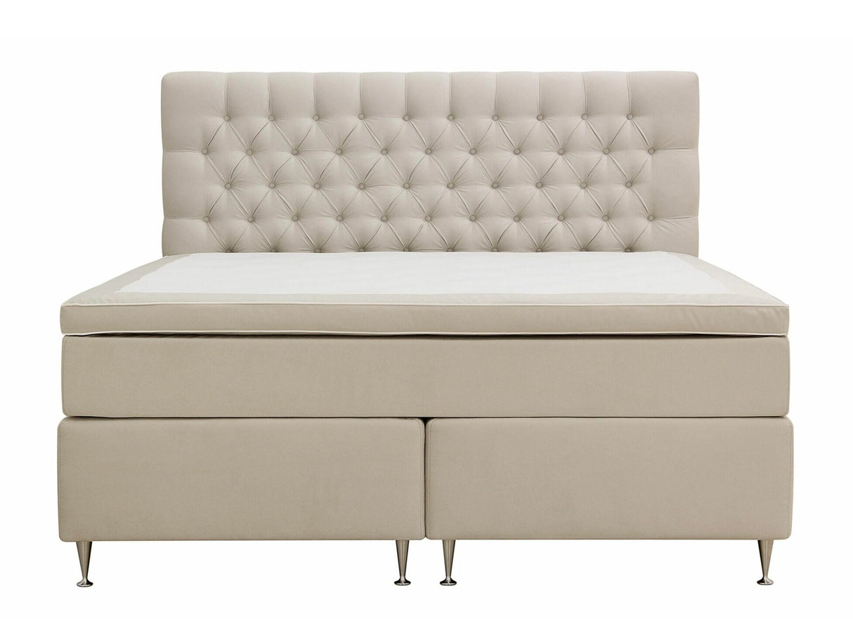 Continental lova 591590