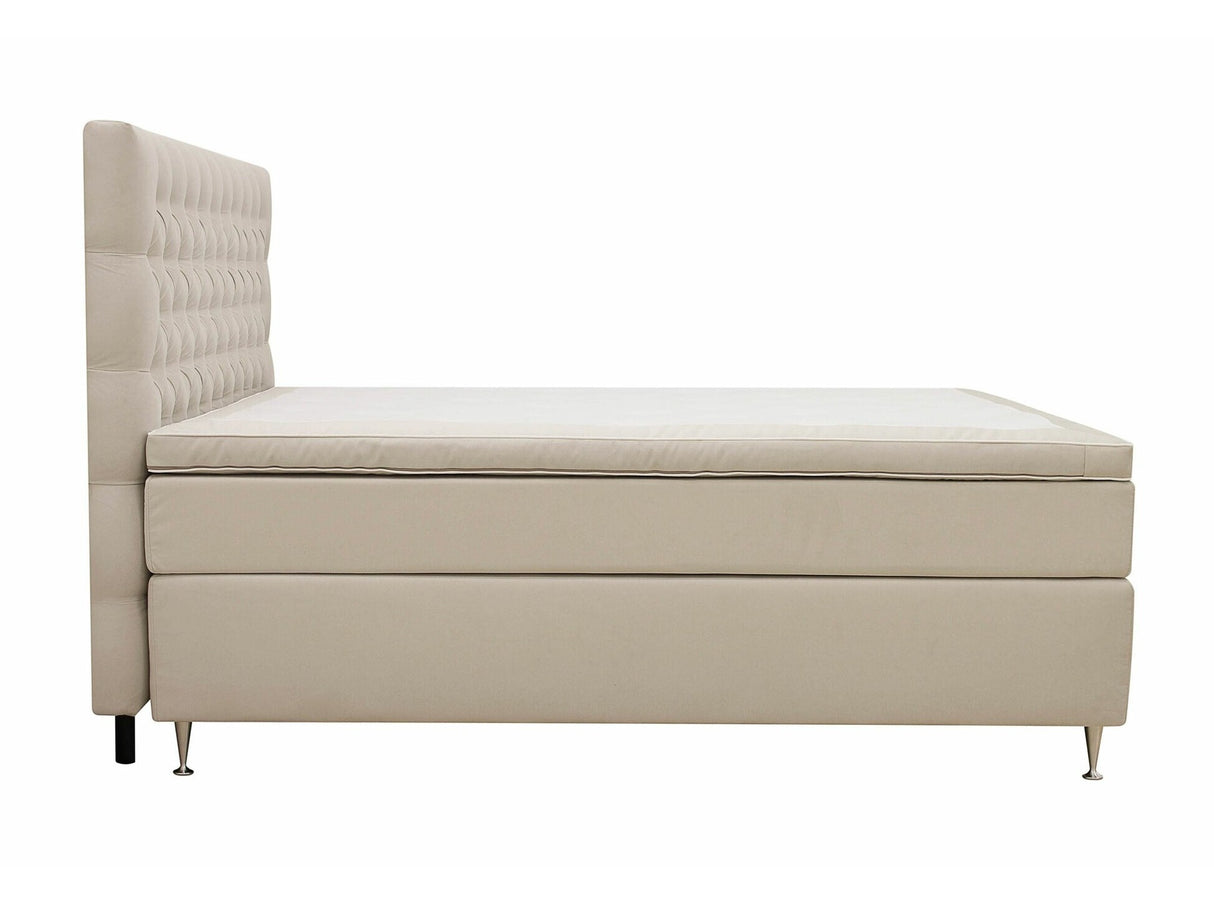Continental lova 591590