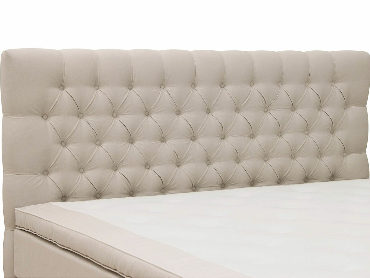 Continental lova 591590