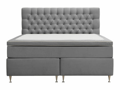 Continental lova 591590