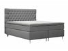 Continental lova 591590
