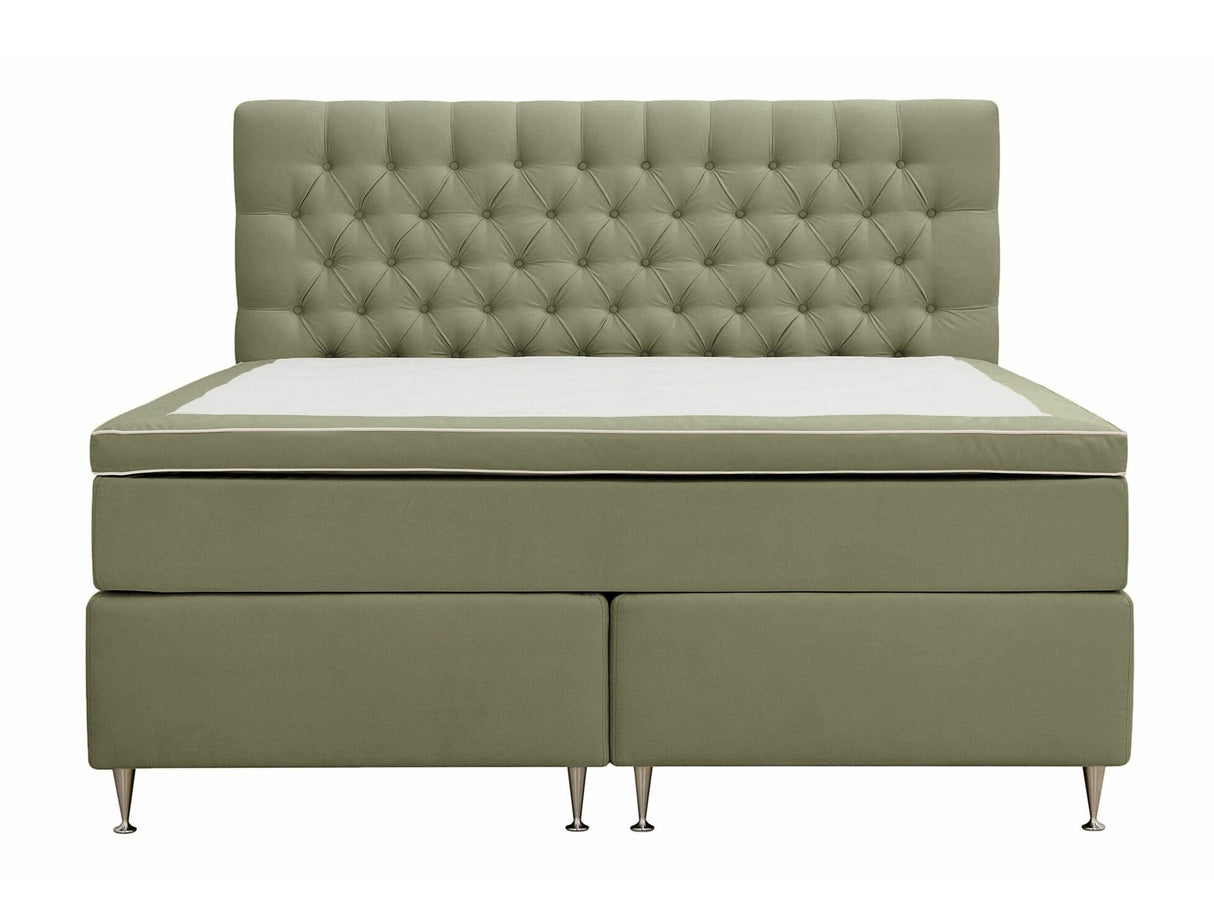 Continental lova 591590