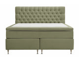 Continental lova 591590