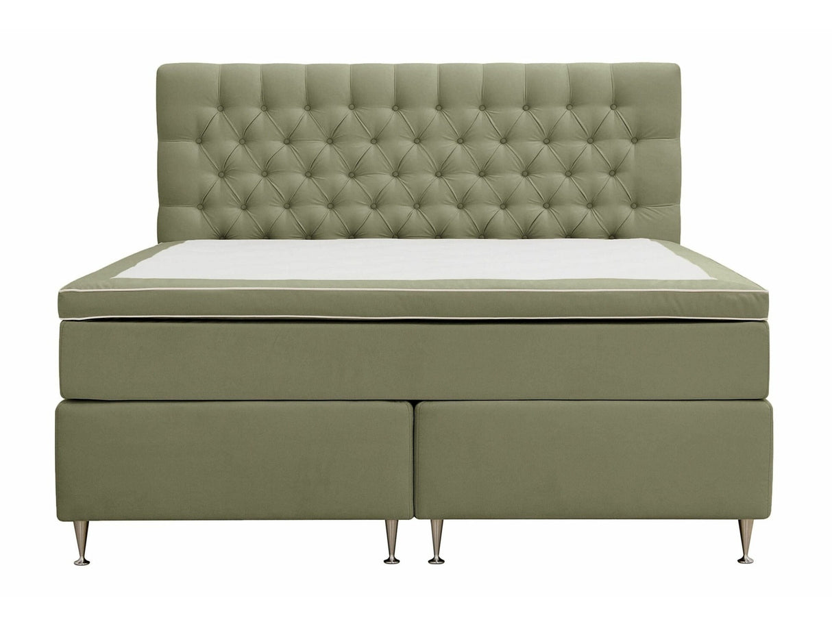 Continental lova 591590
