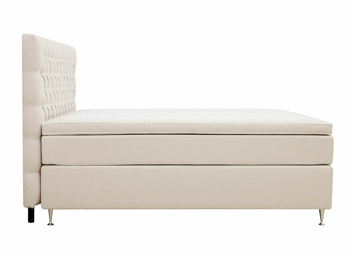 Continental lova 591590