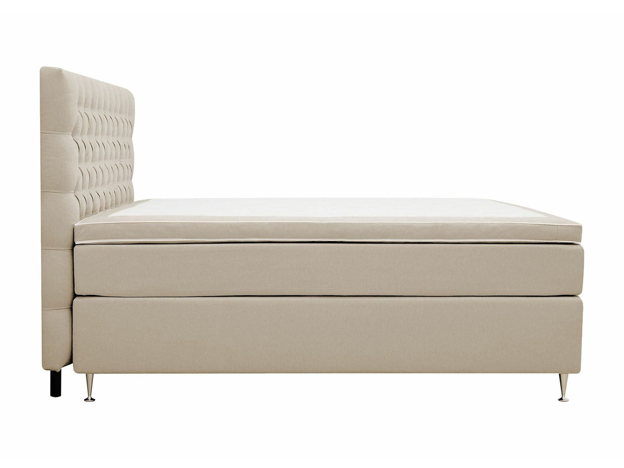 Continental lova 591590