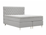 Continental lova 591590