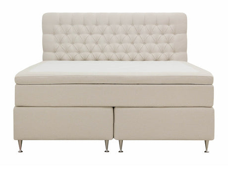 Continental lova 591590