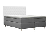 Continental lova 591481