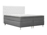 Continental lova 591481