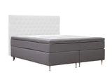 Continental lova 591481