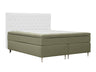 Continental lova 591481