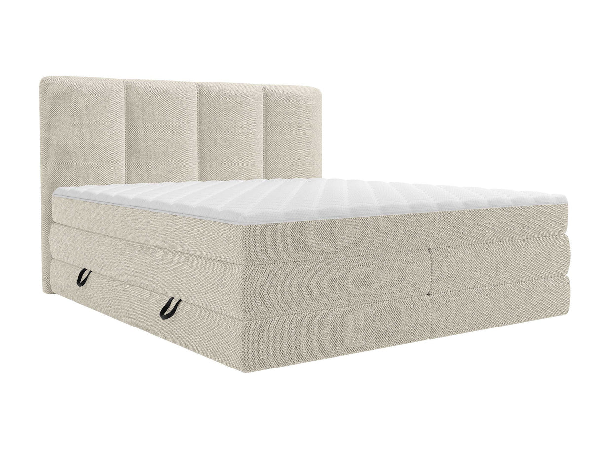 Continental lova 596997