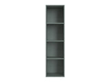 Lentyna 598302