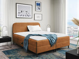 Continental lova 599033