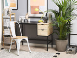Darbo stalas 603011