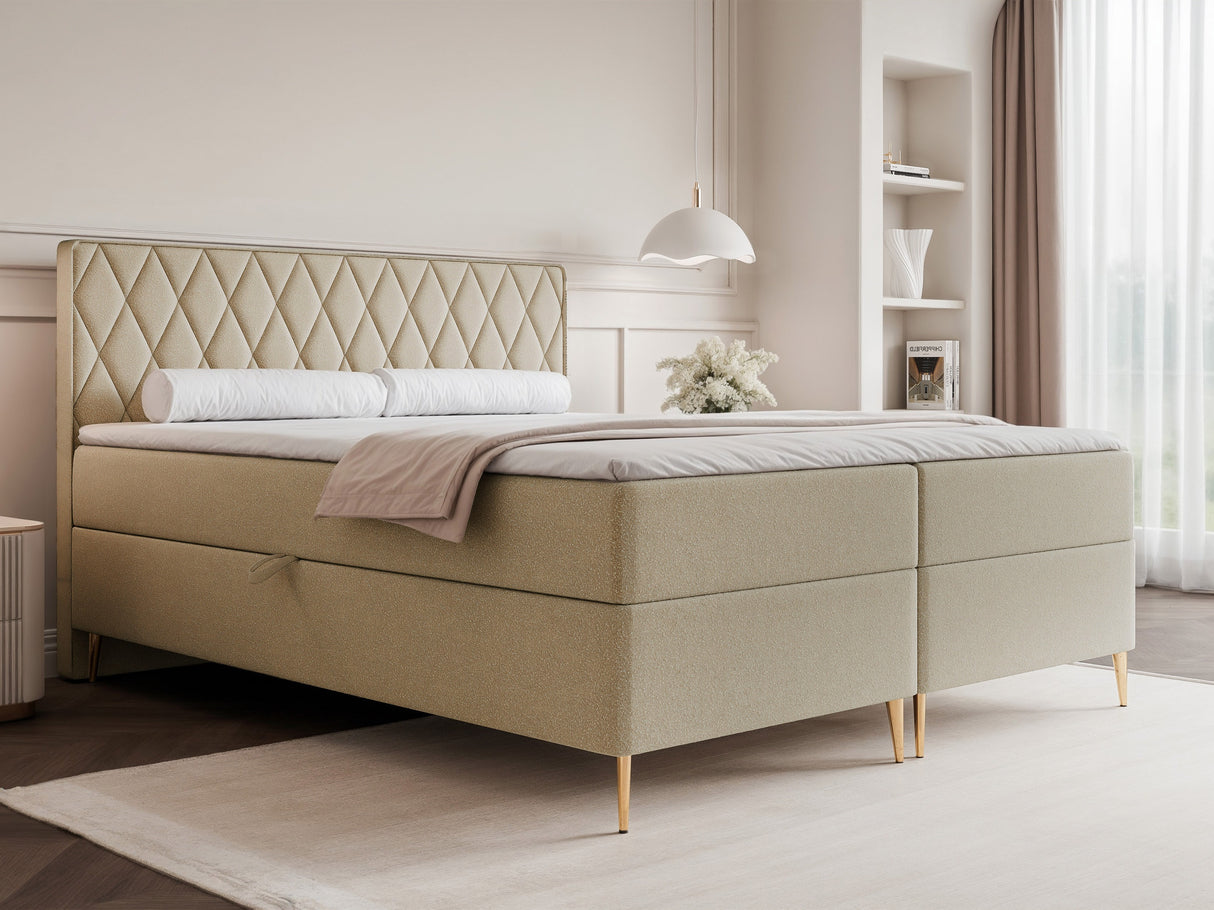 Continental lova 579146