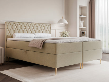 Continental lova 579146
