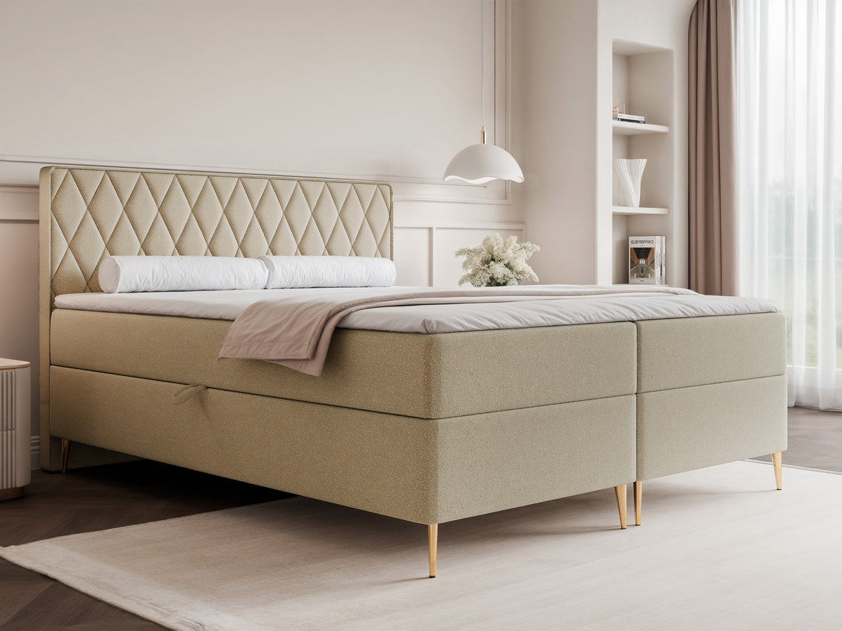 Continental lova 579146