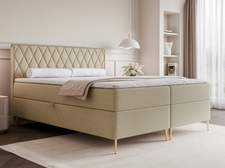 Continental lova 579146