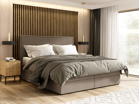 Continental lova 607268