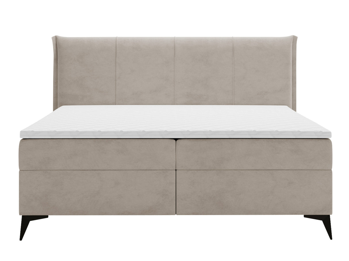 Continental lova 611615