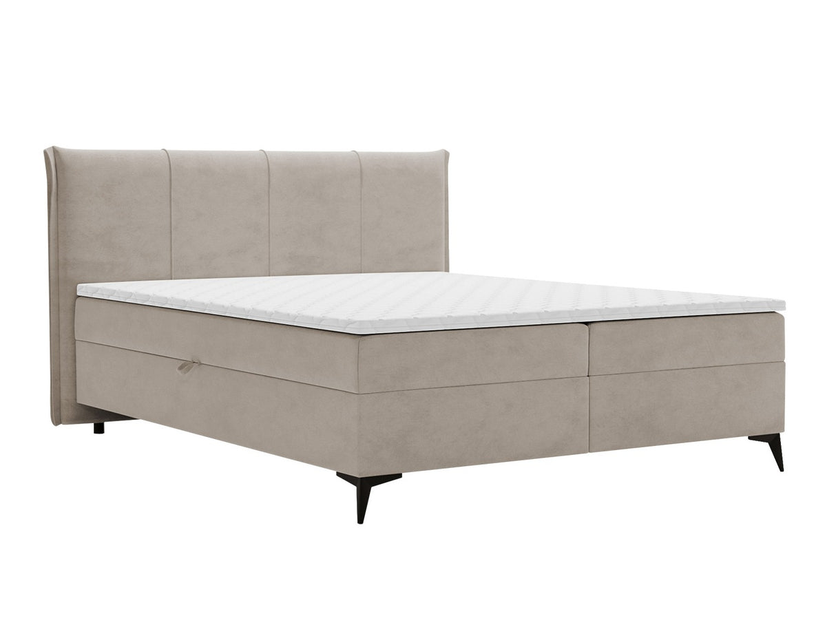 Continental lova 611615