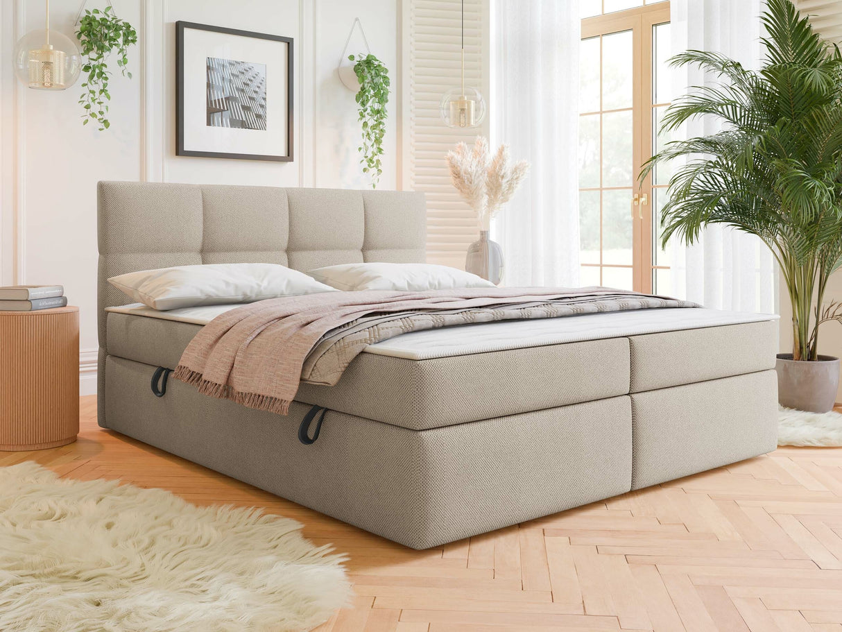 Continental lova 541393 4266012
