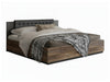 Lova 443204