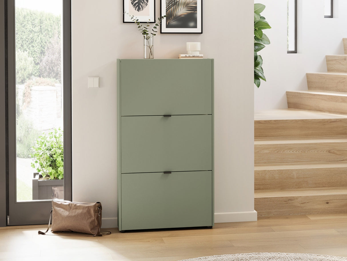 Batų dėžė 620475