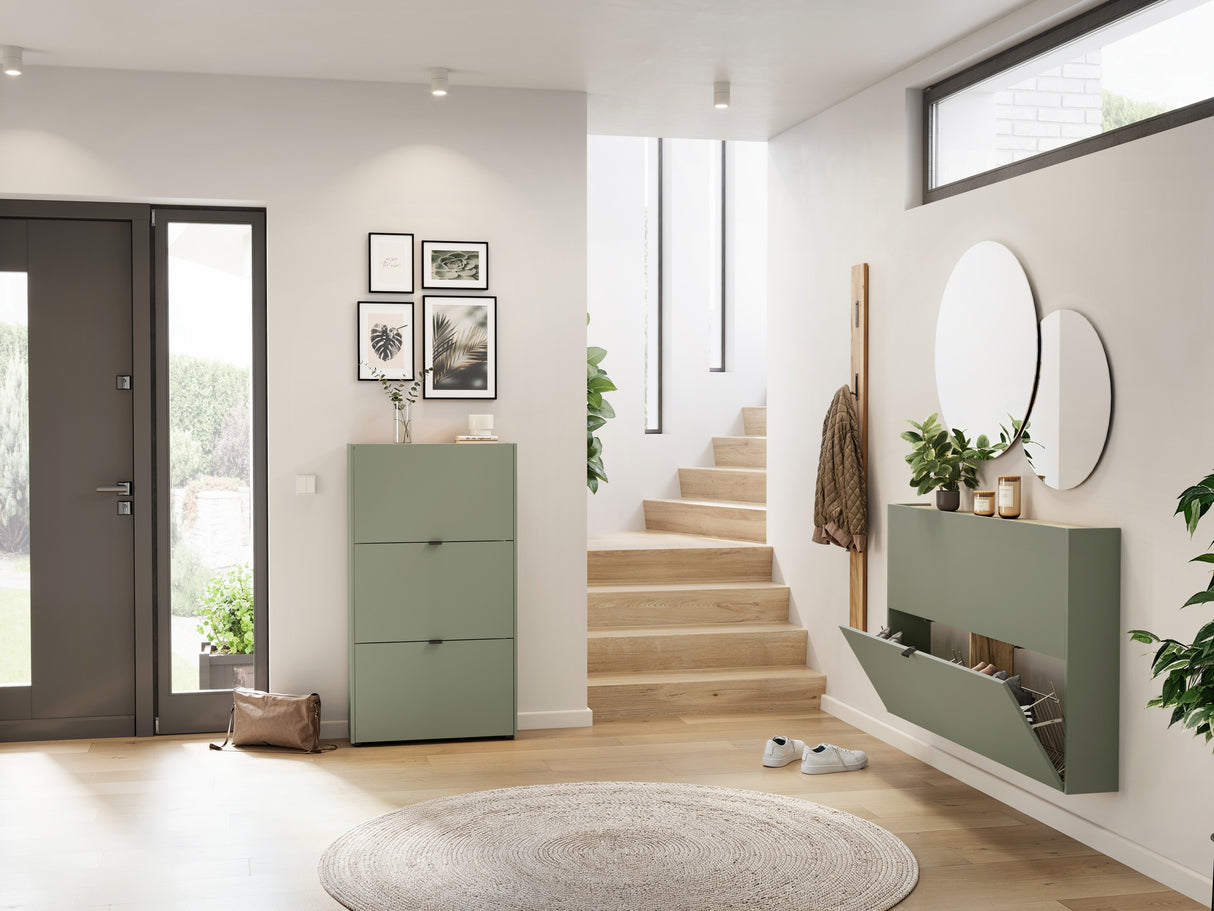 Batų dėžė 620475