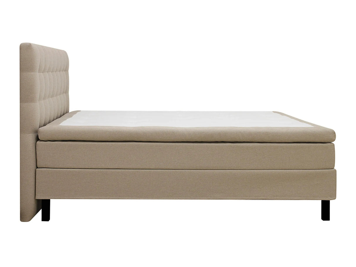 Continental lova 626569
