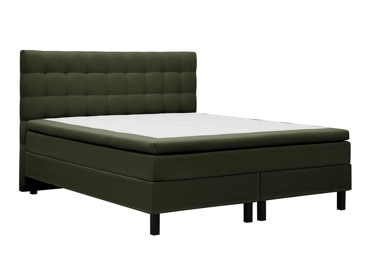 Continental lova 626569