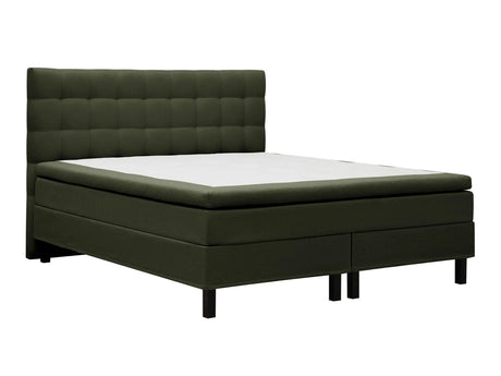 Continental lova 626569