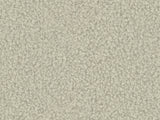 Continental lova 626569