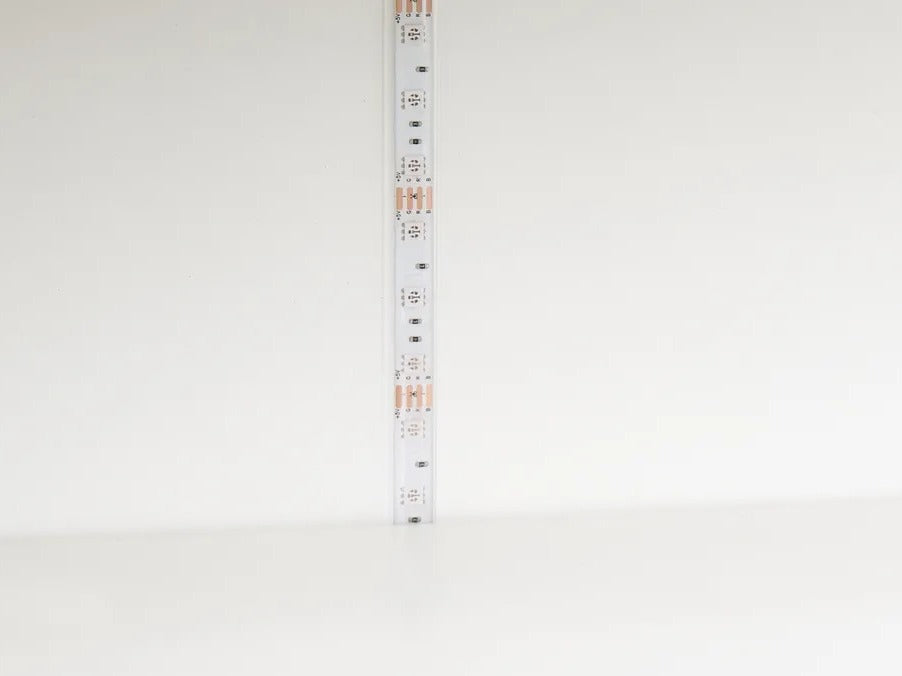 Lentyna 628981