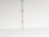 Lentyna 628981