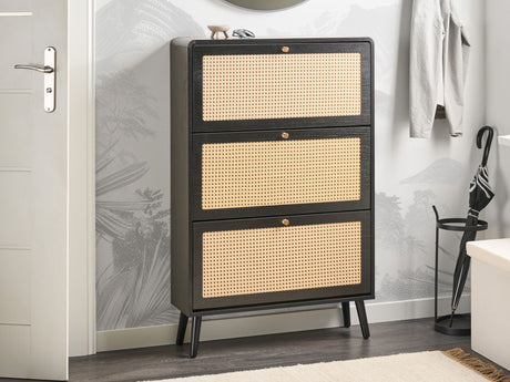 Batų dėžė 629229