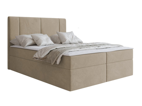 Continental lova 629505
