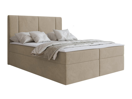 Continental lova 629505