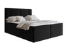 Continental lova 629505