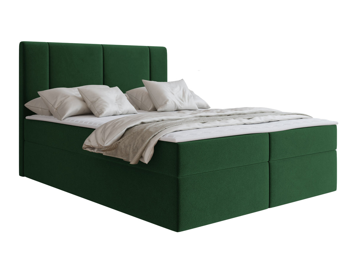 Continental lova 629505